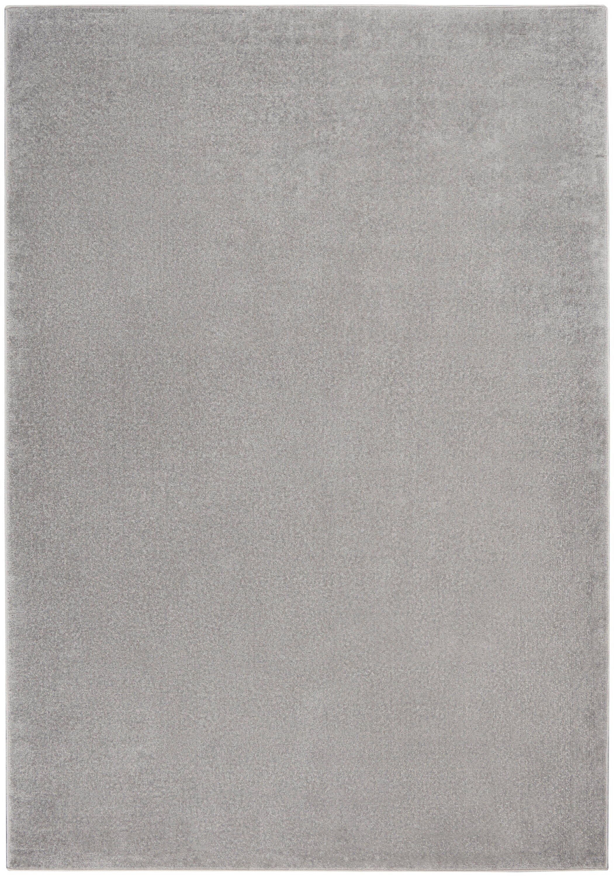 Nourison Essentials Silver Grey Outdoor Rug RUG Nourison