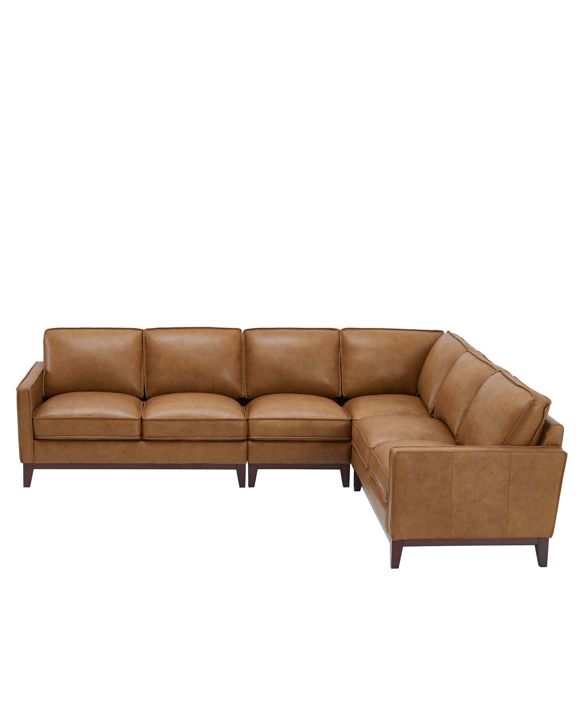 Nova Leather Sectional Sofa by Huck & Peck SOFA Huck and Peck