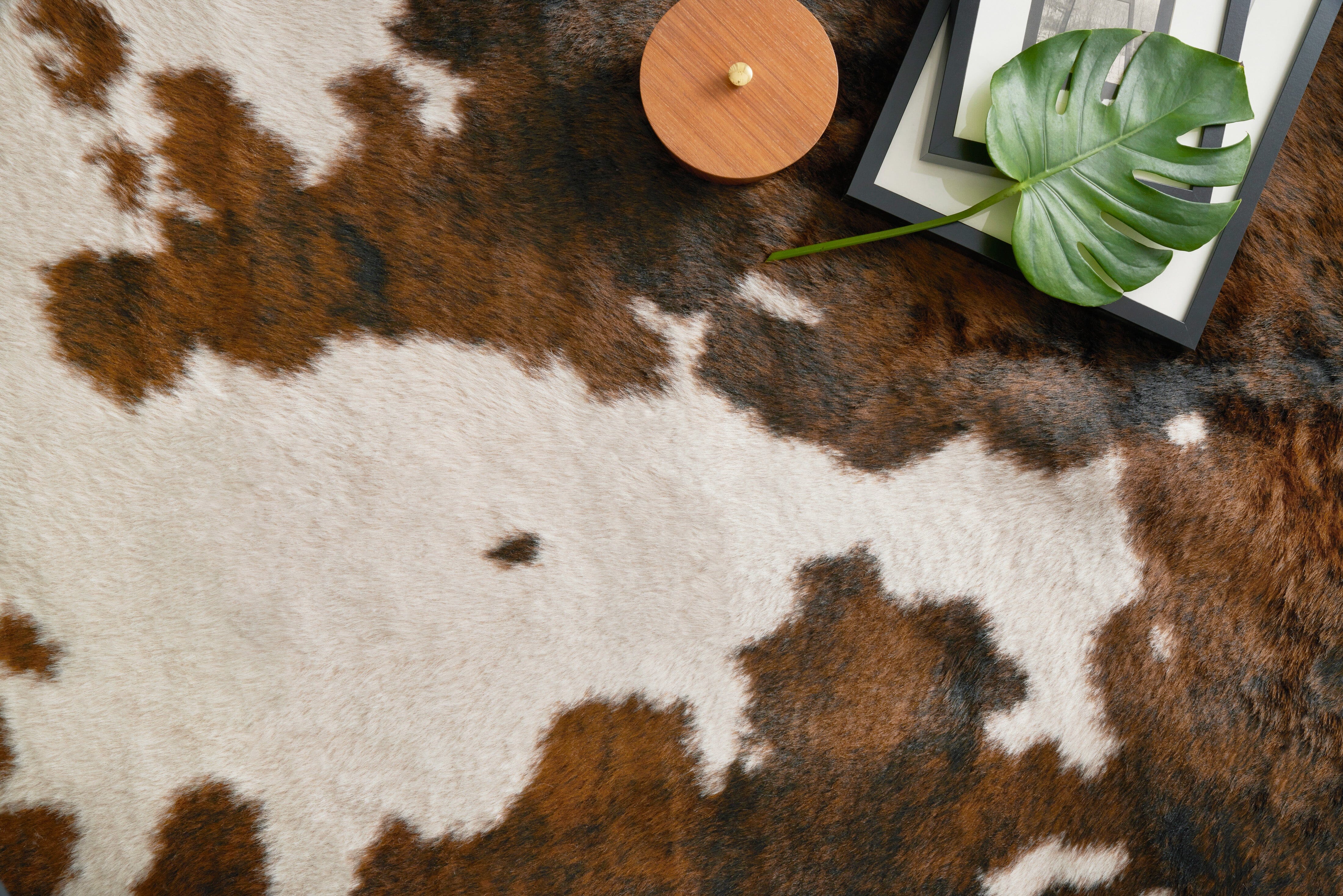 Loloi II Grand Canyon Rug | Beige / Brown Loloi