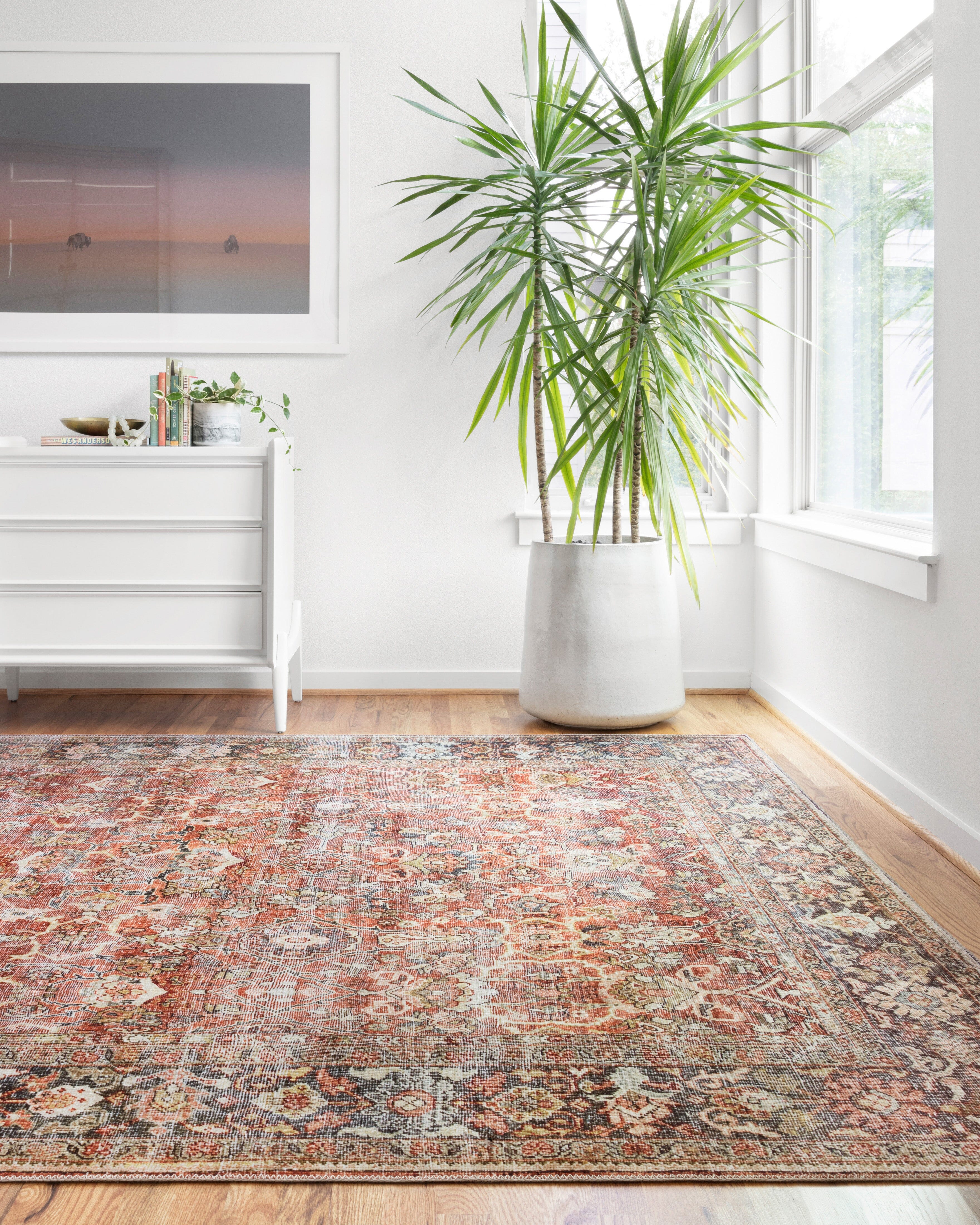 Loloi II Layla Rug | Spice / Marine Loloi