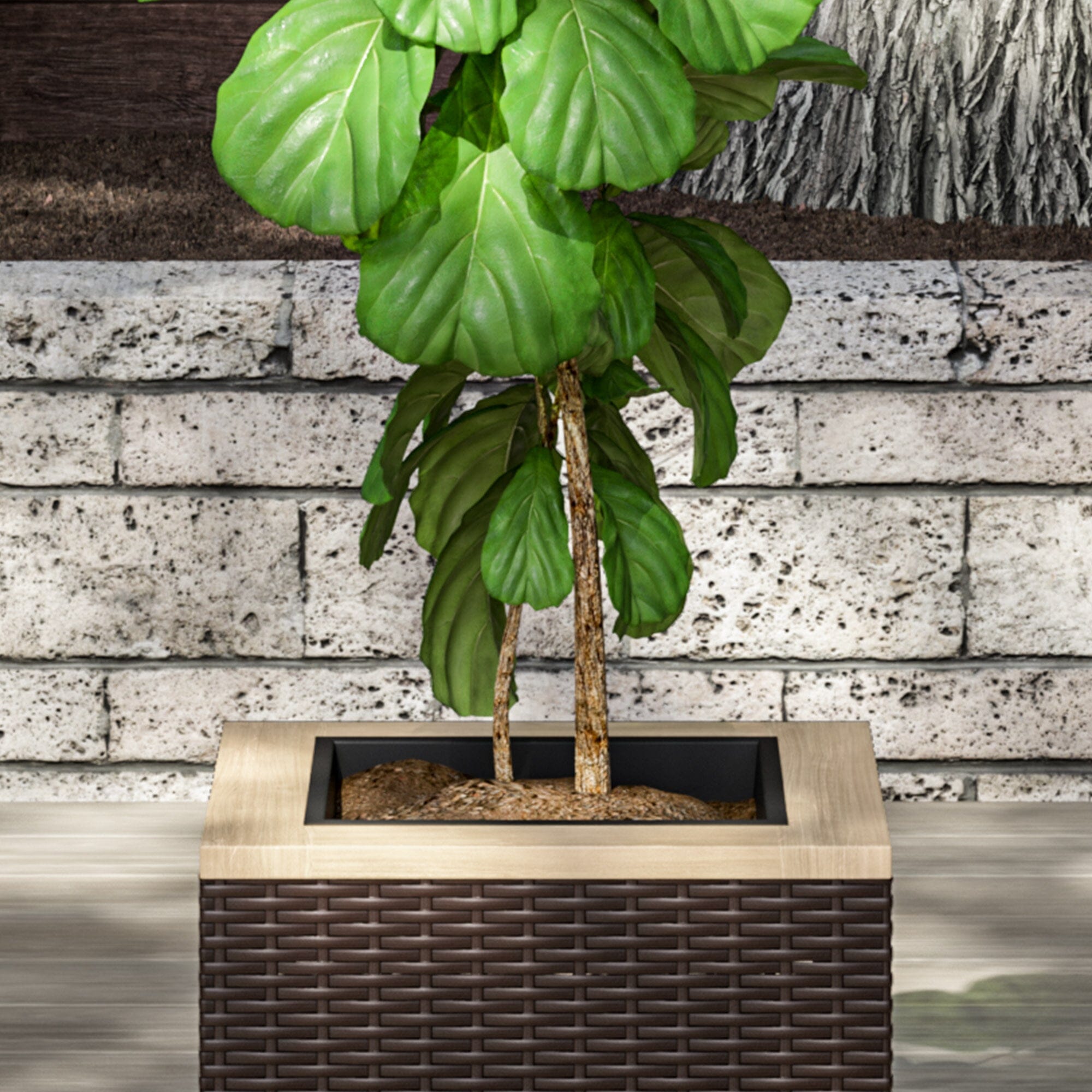 Modern & Contemporary Outdoor Planter By Palm Springs Planter Palm Springs