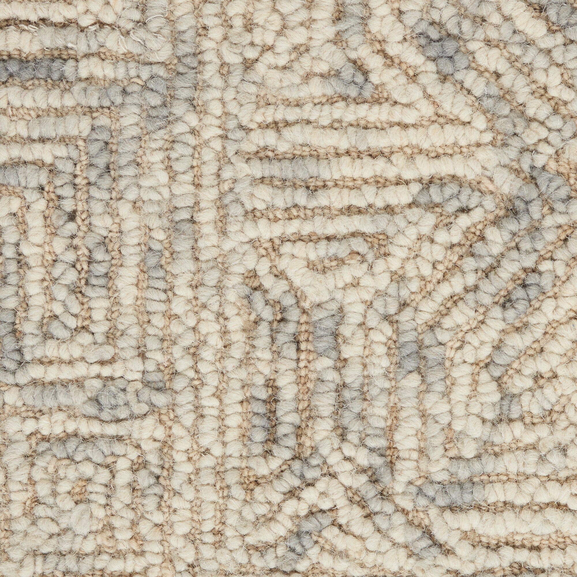 Nourison Colorado 7'9" x 9'9" Beige/Grey Modern Indoor Rug Rug Nourison