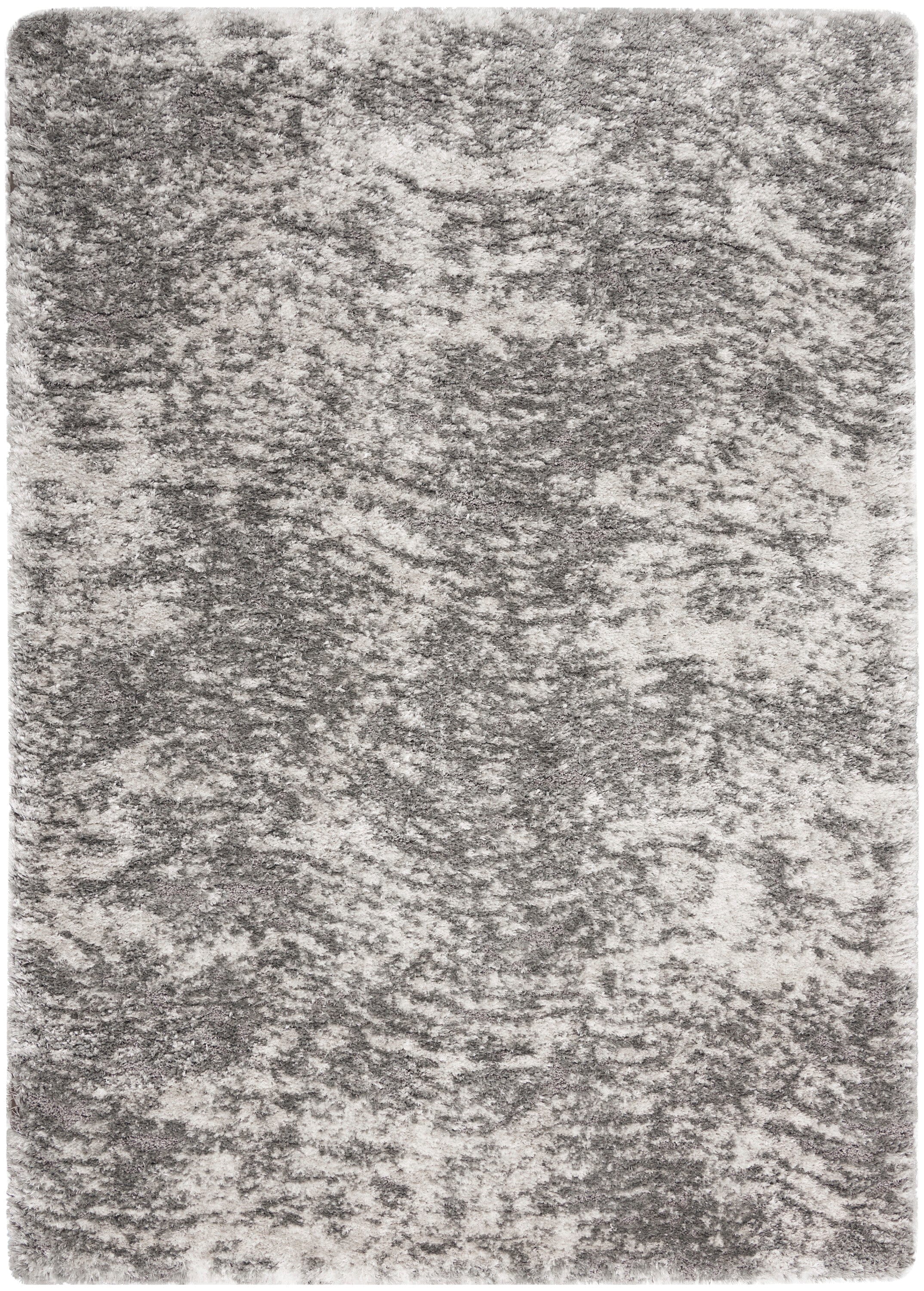 Nourison Dreamy Shag 4' x 6' Charcoal Grey Shag Indoor Rug Rug Nourison