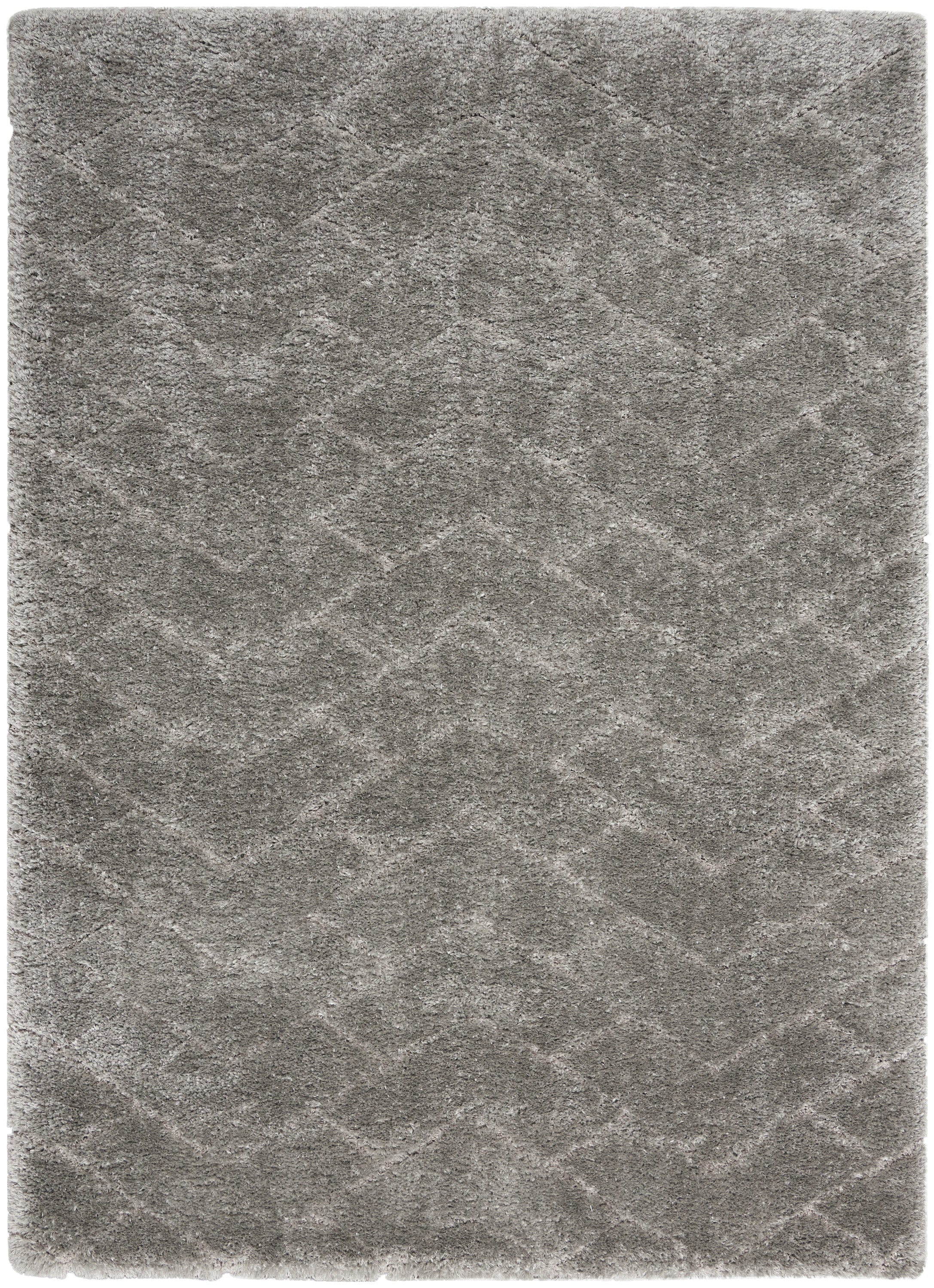 Nourison Dreamy Shag 4' x 6' Grey Shag Indoor Rug Rug Nourison