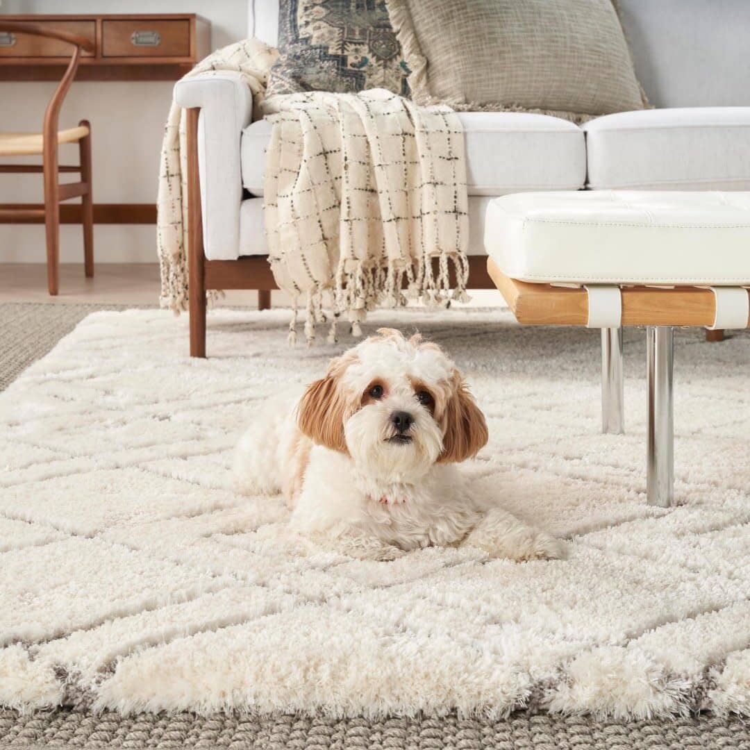 Nourison Dreamy Shag 4' x 6' Ivory Shag Indoor Rug Rug Nourison