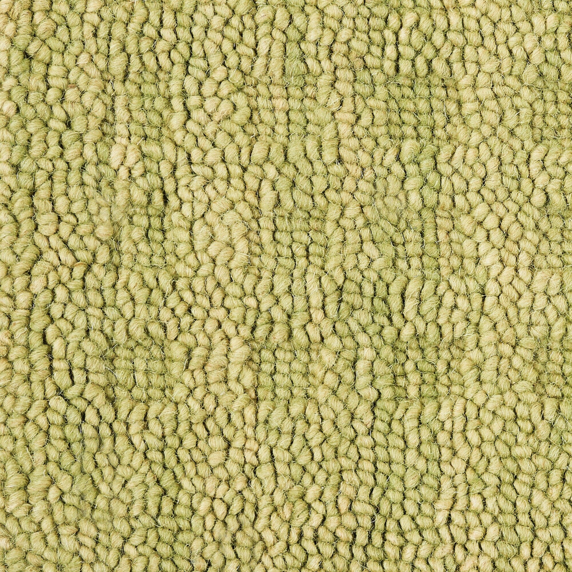 Nourison Marana 2'3" x 8' Green Contemporary Indoor Rug Rug Nourison