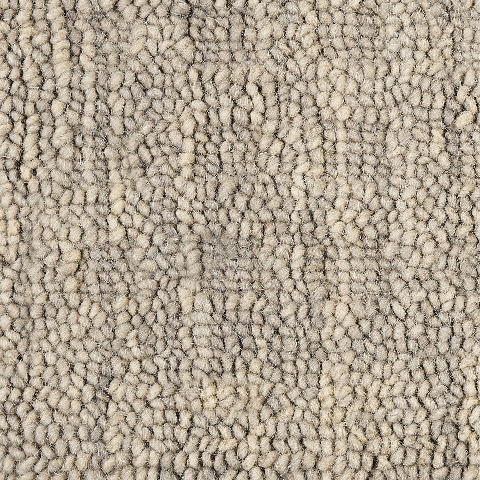 Nourison Marana 2'3" x 8' Latte Contemporary Indoor Rug Rug Nourison